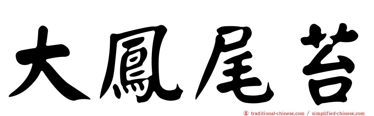 大鳳尾苔