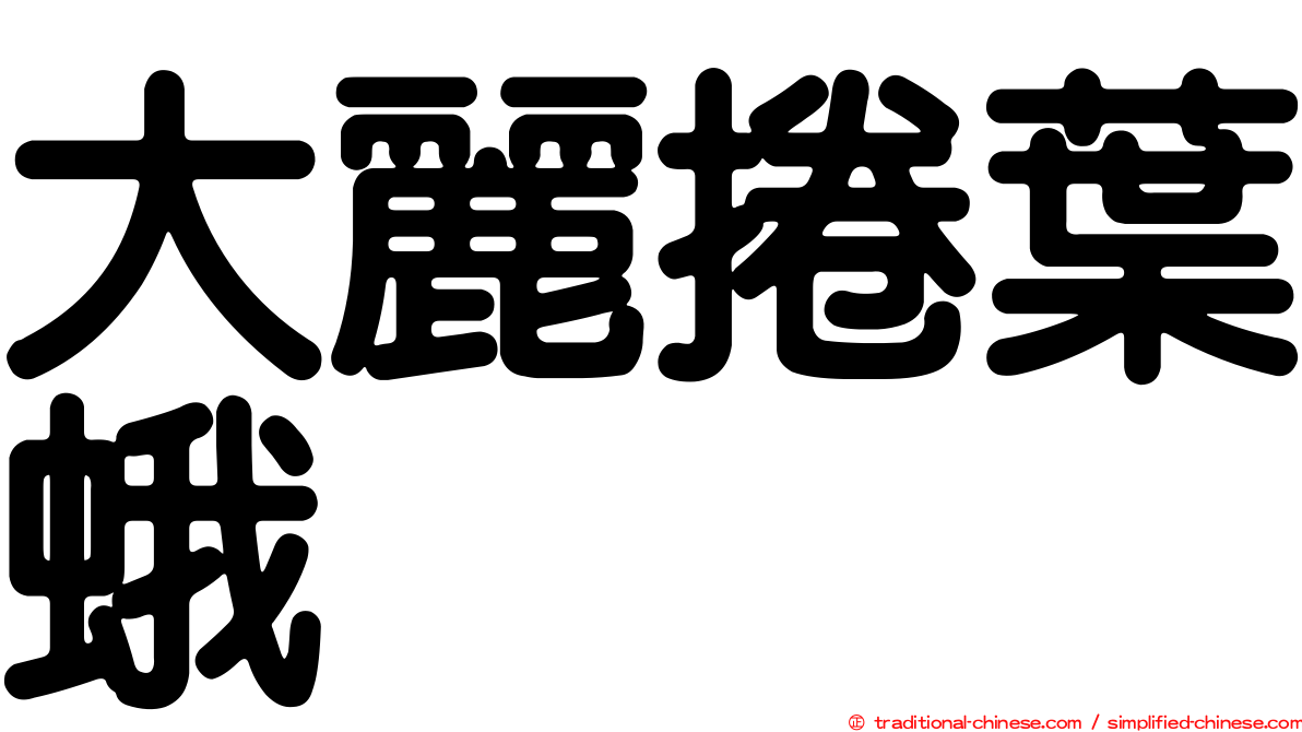 大麗捲葉蛾