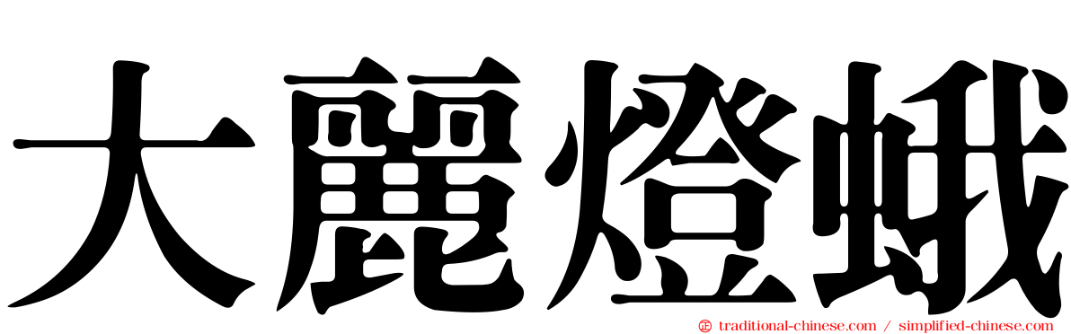 大麗燈蛾