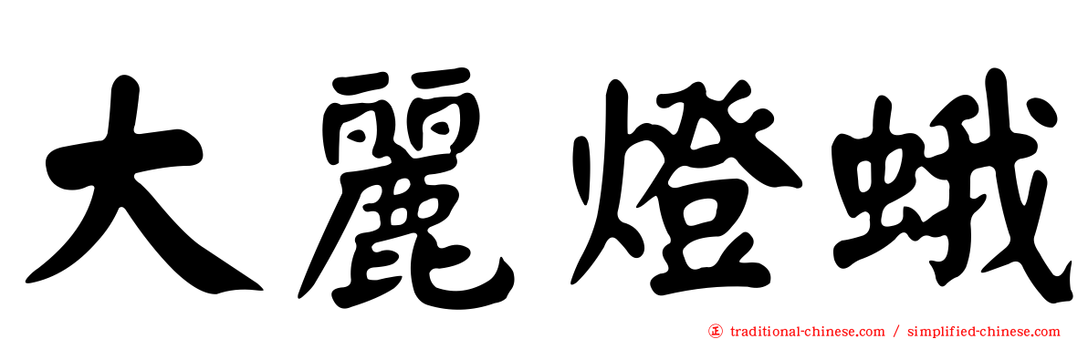 大麗燈蛾