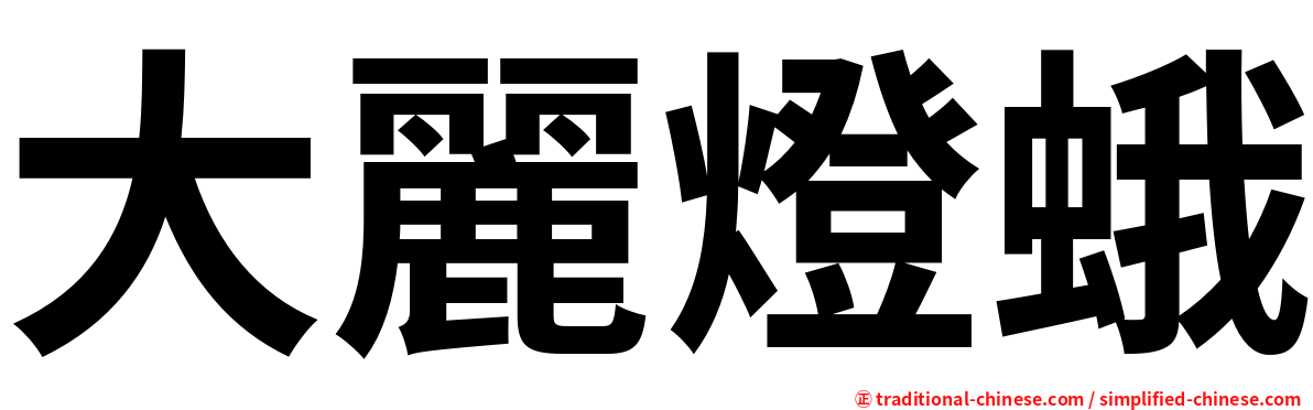 大麗燈蛾