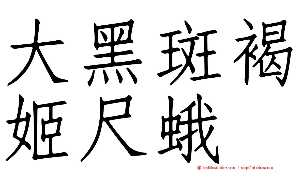 大黑斑褐姬尺蛾