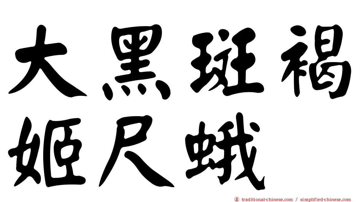 大黑斑褐姬尺蛾