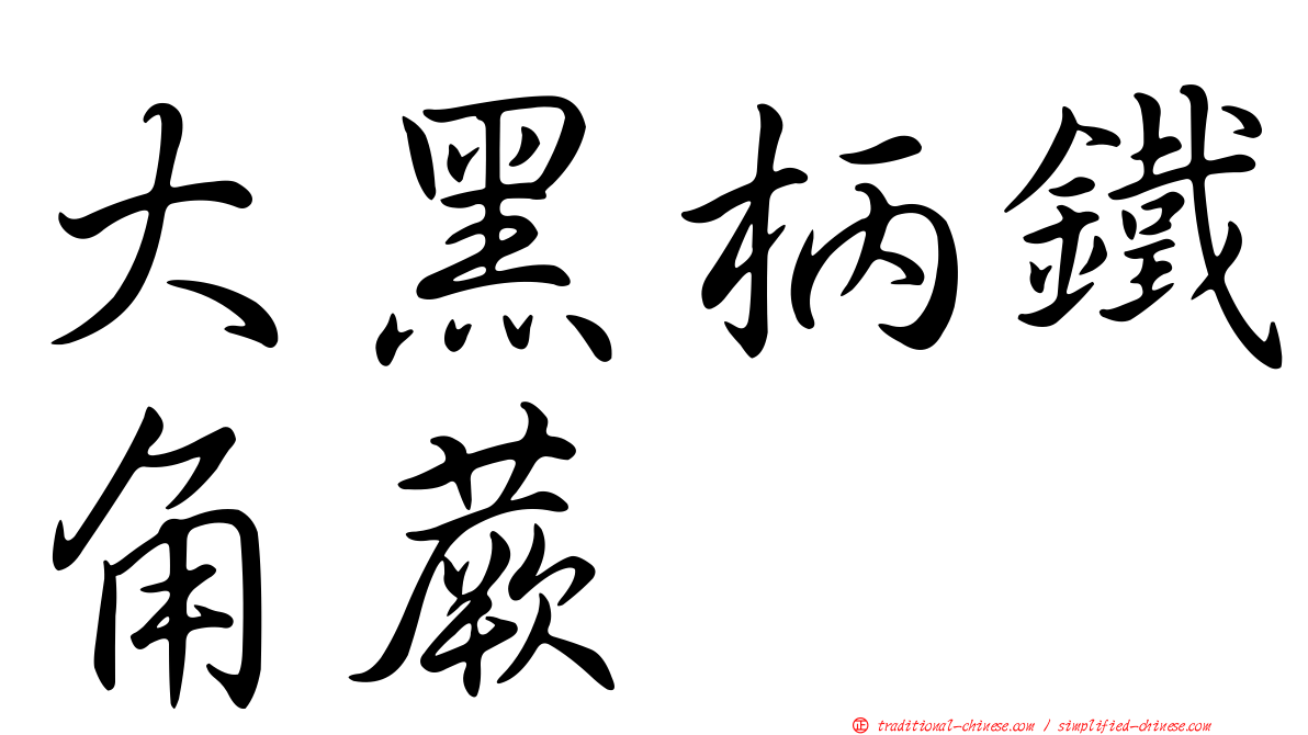 大黑柄鐵角蕨