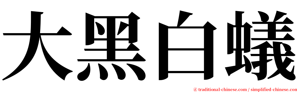 大黑白蟻 serif font