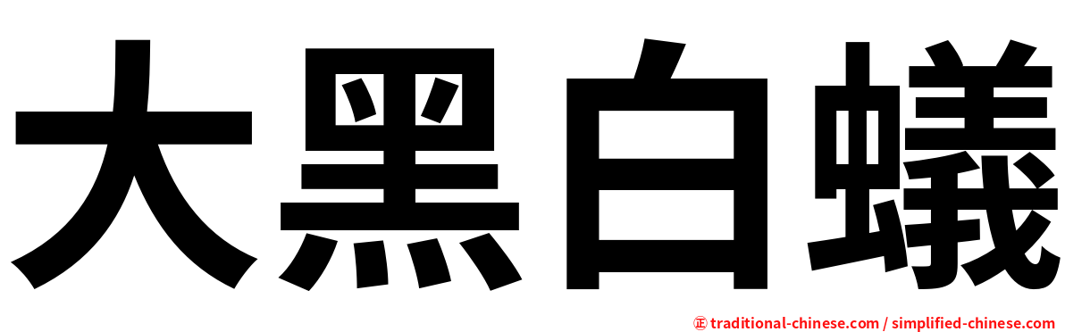 大黑白蟻