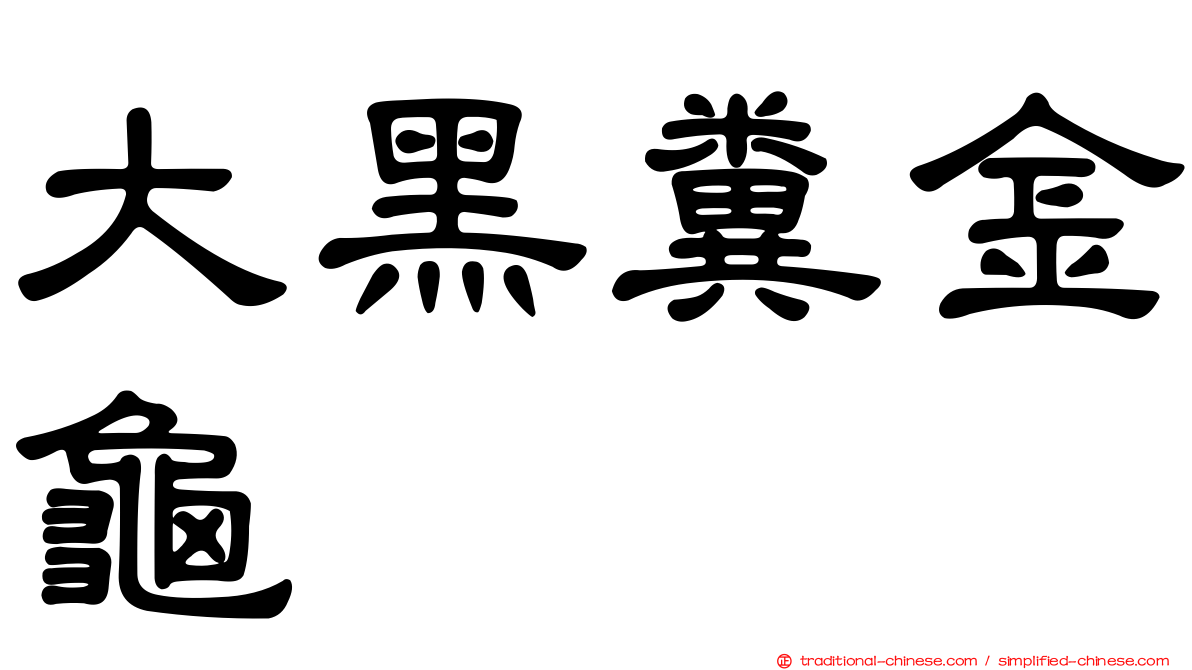 大黑糞金龜