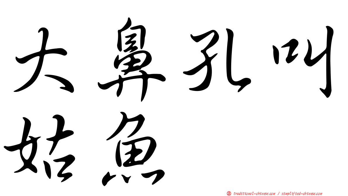 大鼻孔叫姑魚