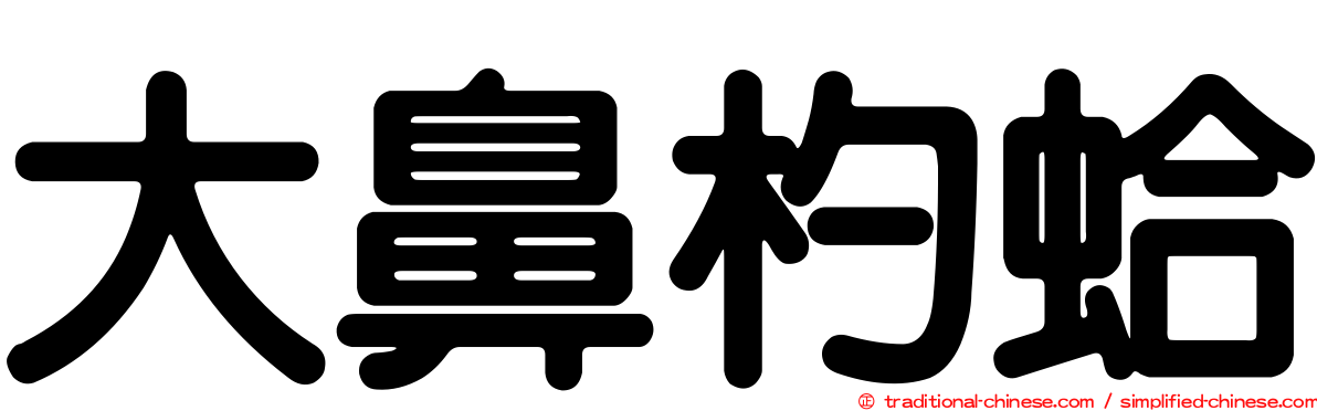 大鼻杓蛤