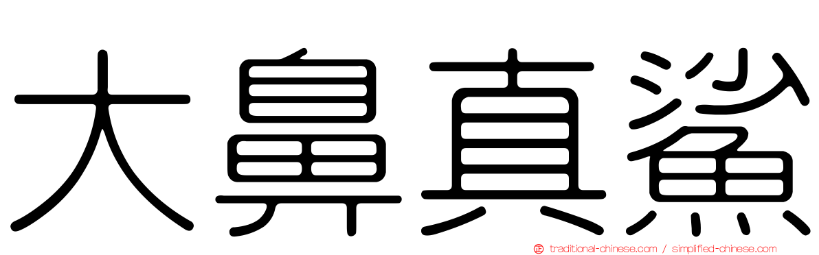 大鼻真鯊