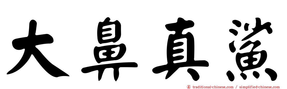大鼻真鯊