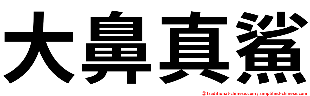 大鼻真鯊