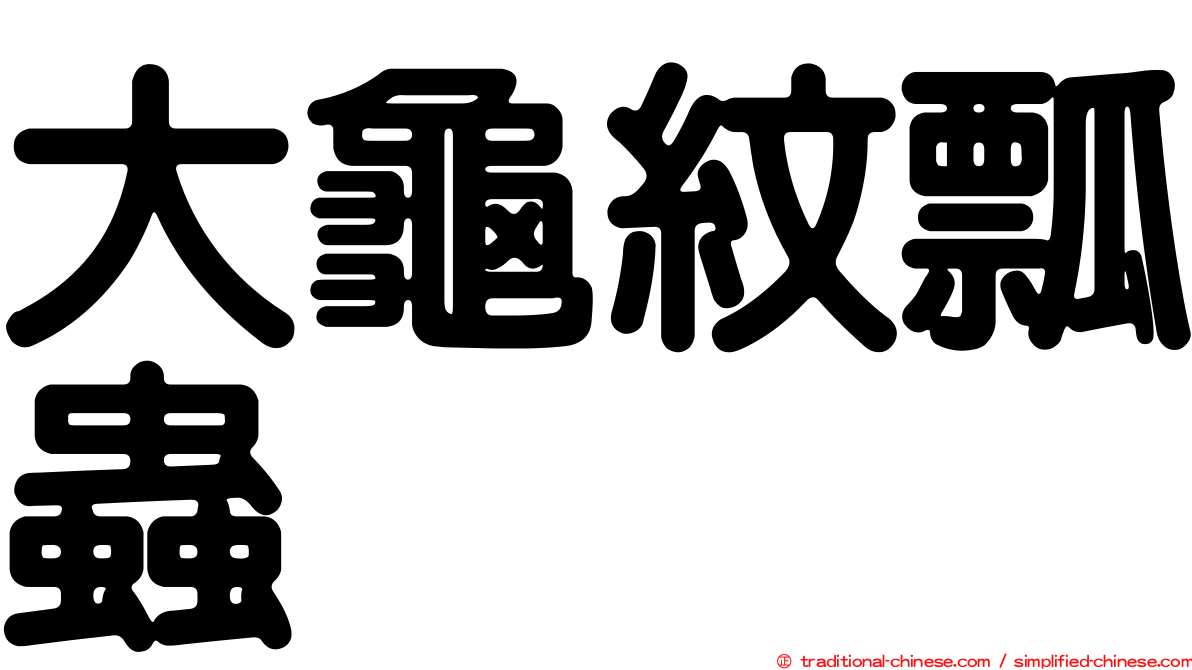 大龜紋瓢蟲