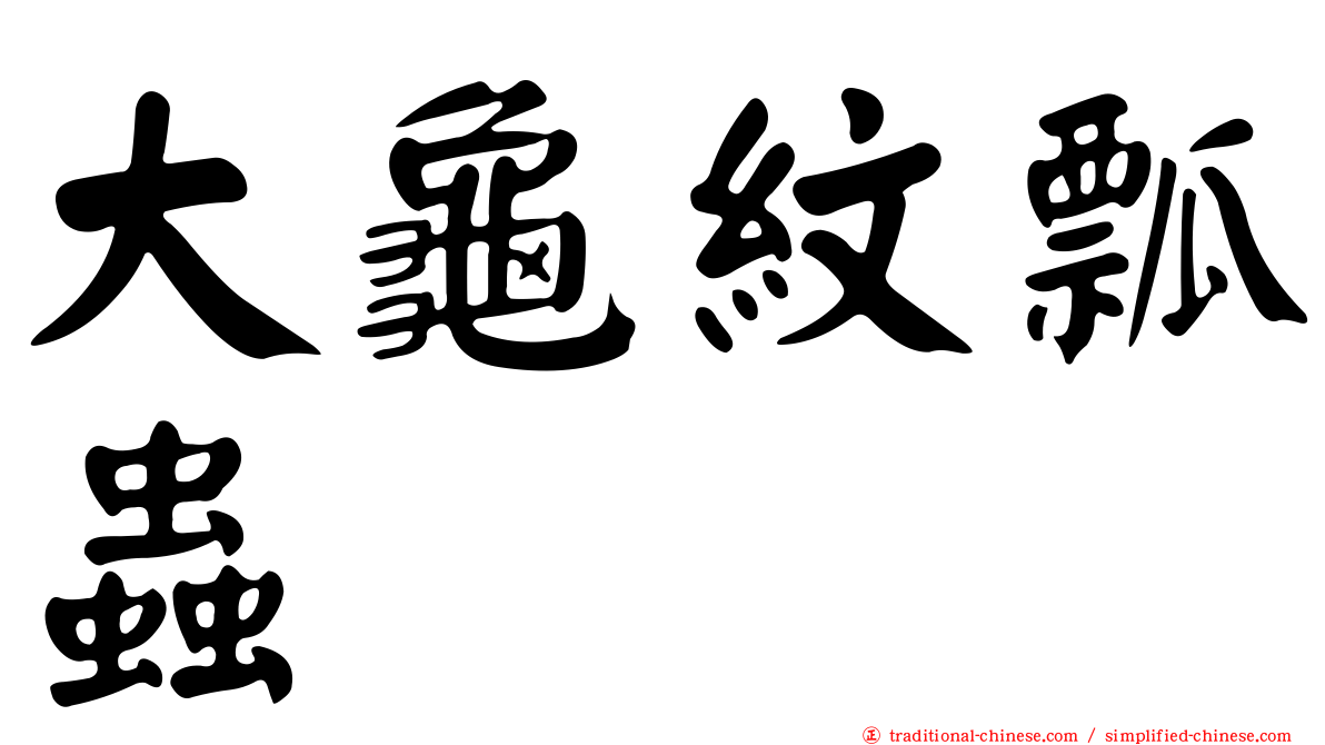 大龜紋瓢蟲