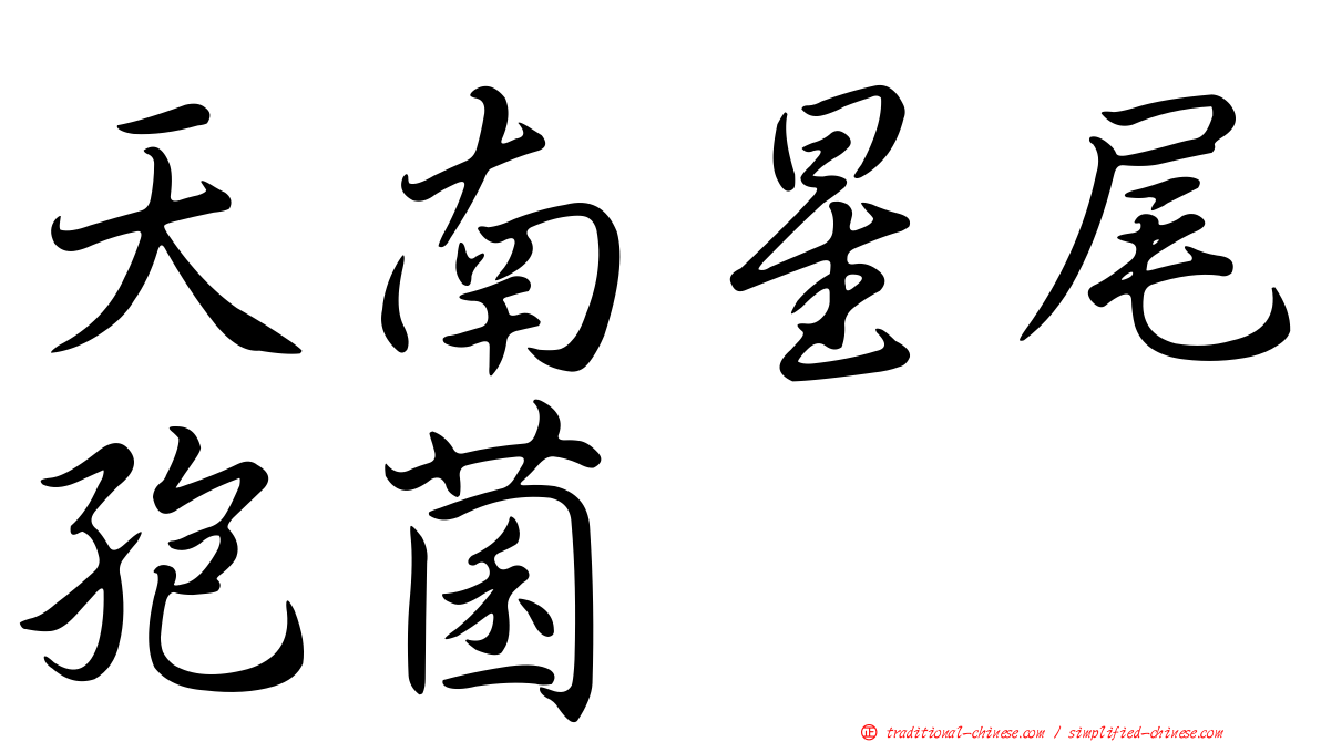 天南星尾孢菌