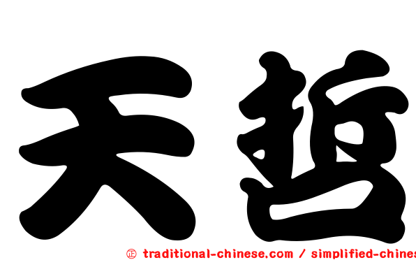 天哲