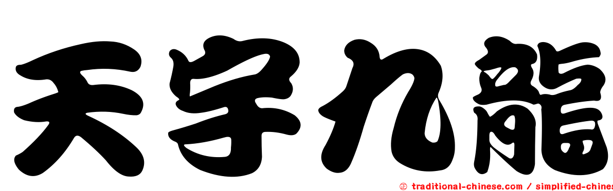 天宇九龍