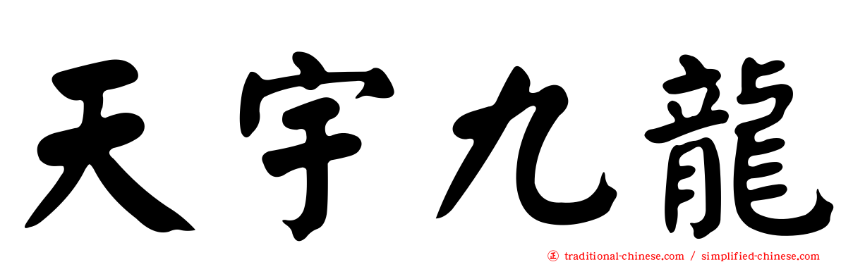 天宇九龍