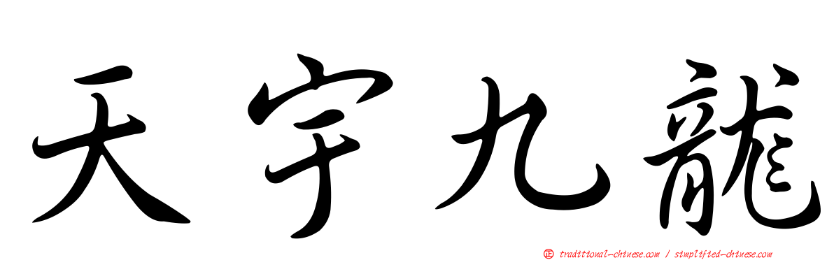 天宇九龍