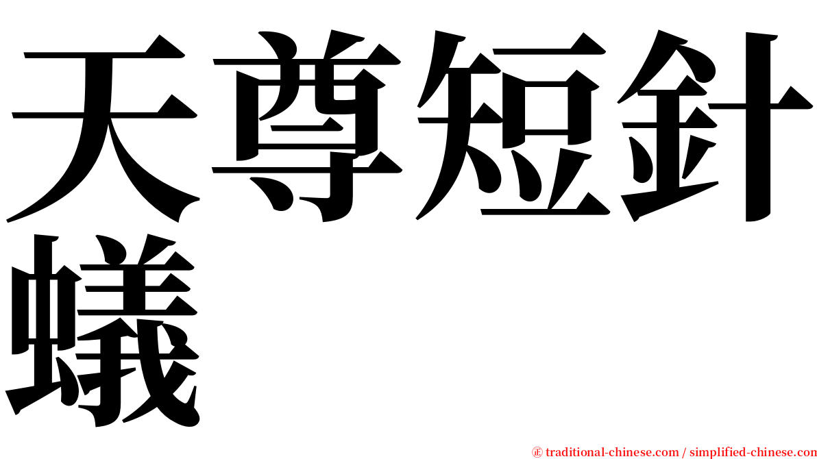 天尊短針蟻 serif font