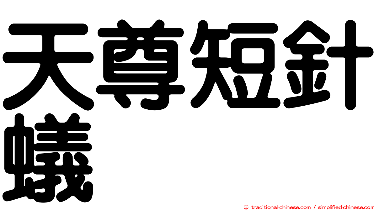天尊短針蟻