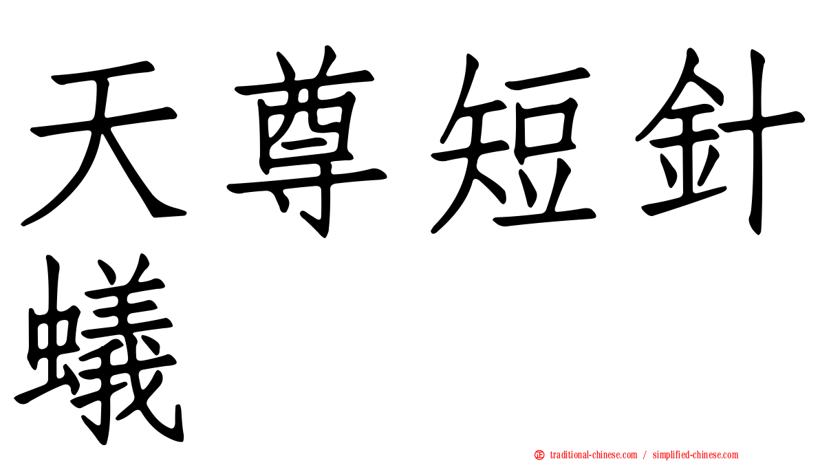 天尊短針蟻