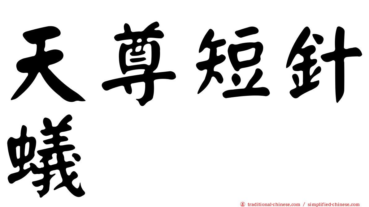 天尊短針蟻
