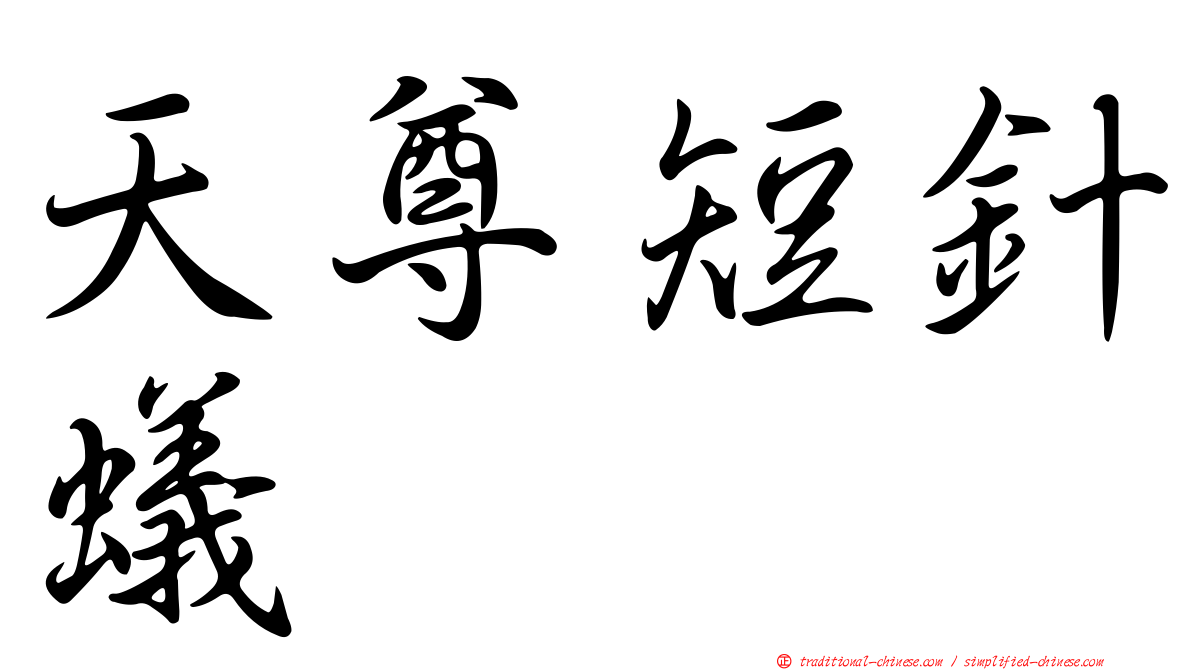 天尊短針蟻