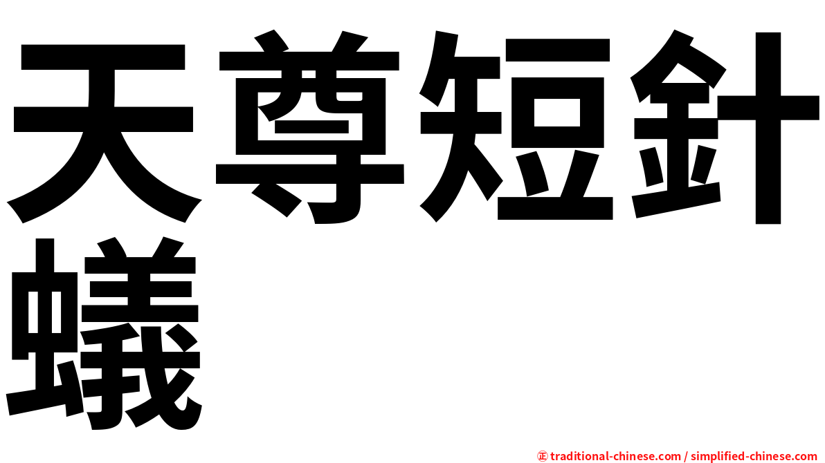 天尊短針蟻