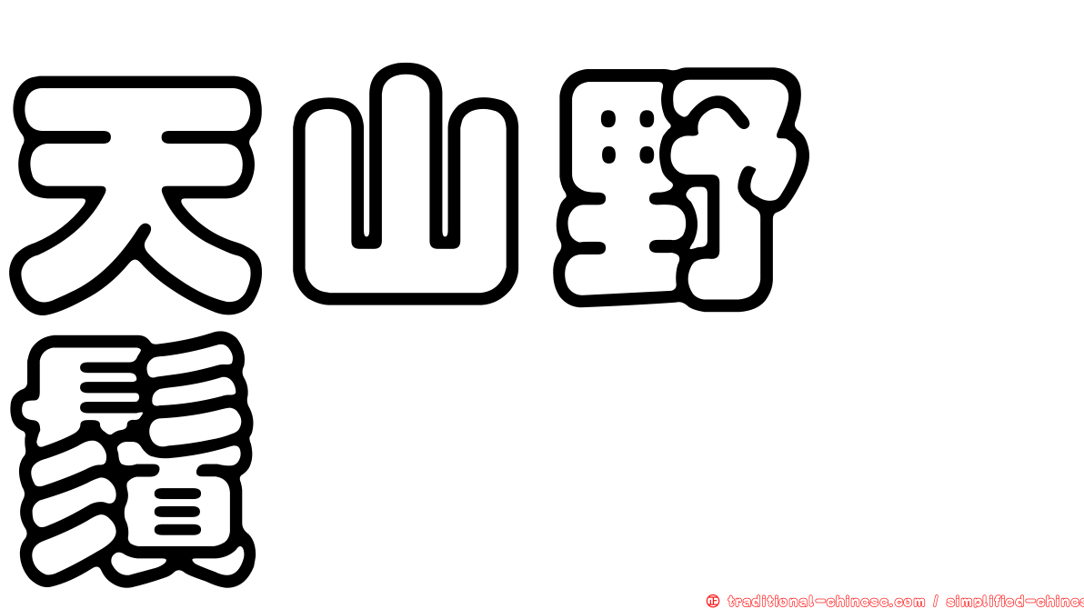 天山野蔘鬚