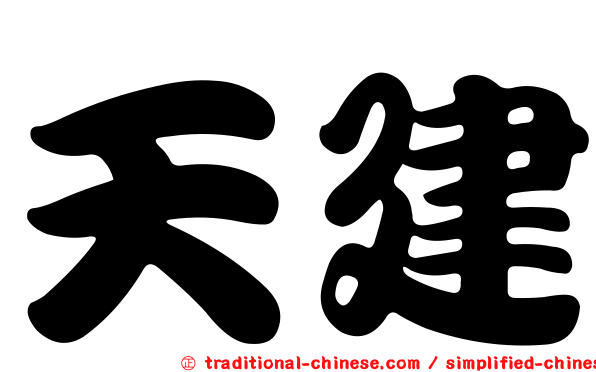 天建