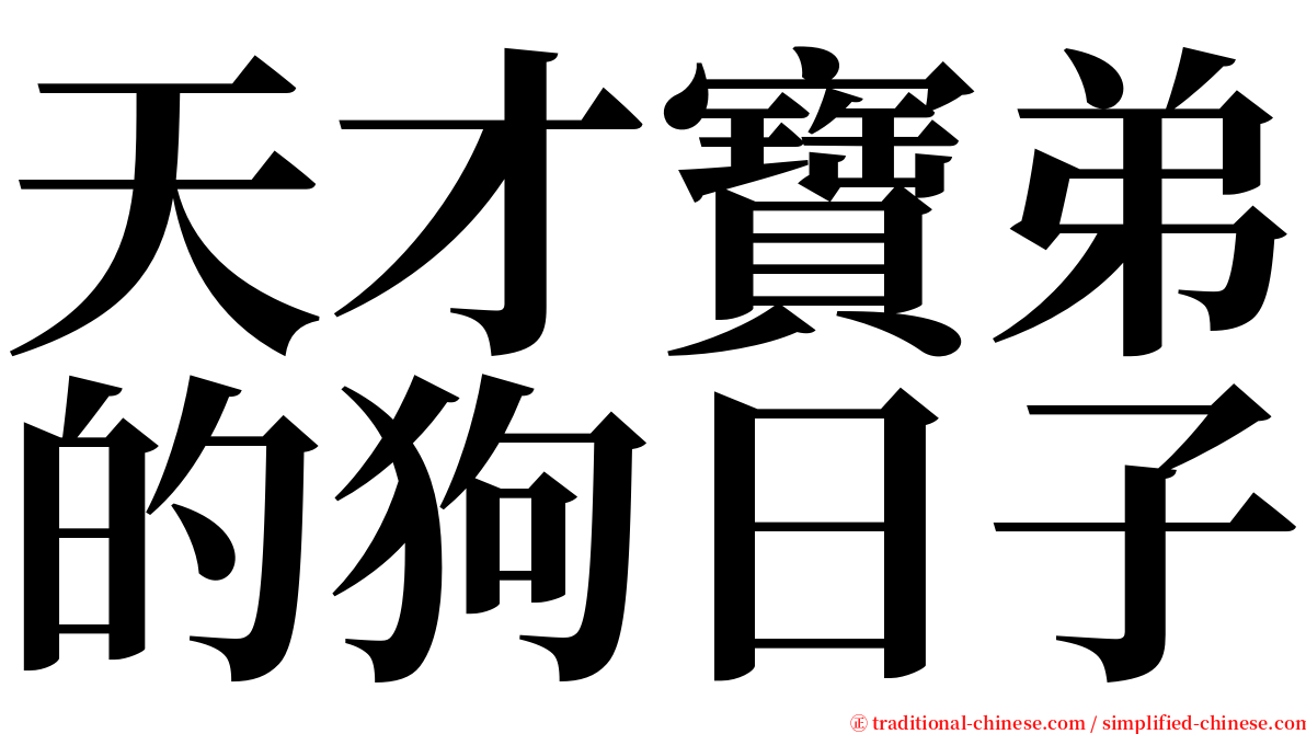 天才寶弟的狗日子 serif font