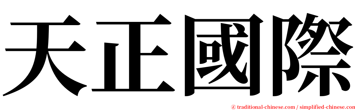 天正國際 serif font