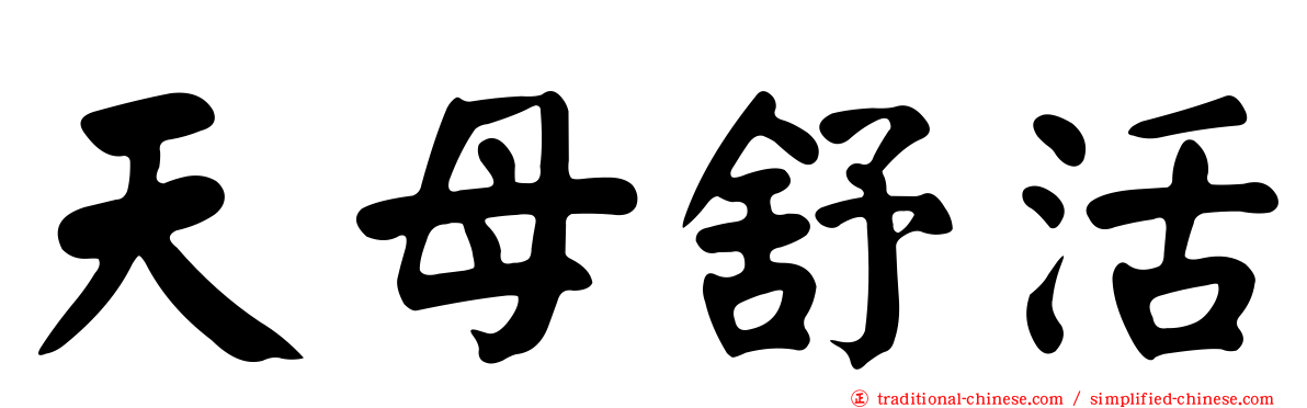 天母舒活