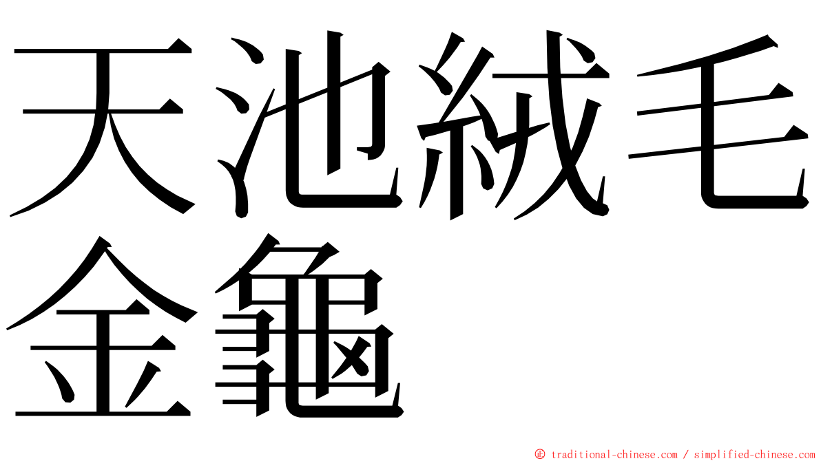 天池絨毛金龜 ming font