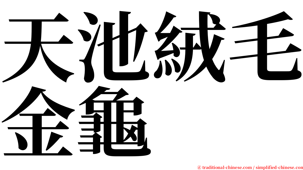 天池絨毛金龜 serif font
