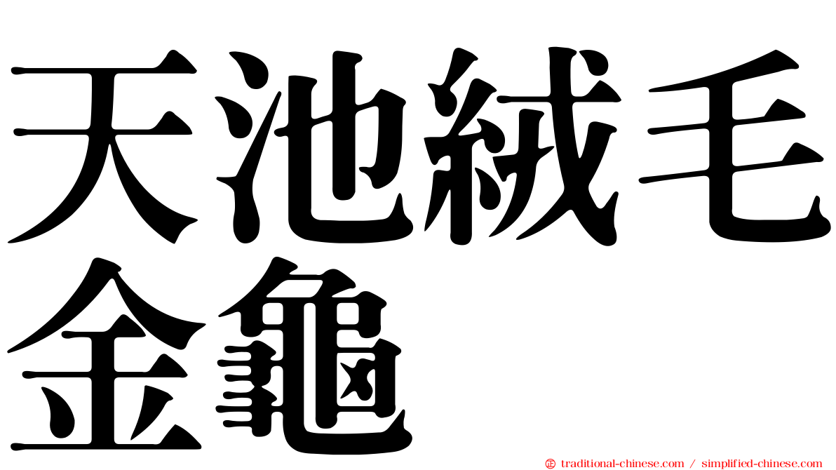 天池絨毛金龜
