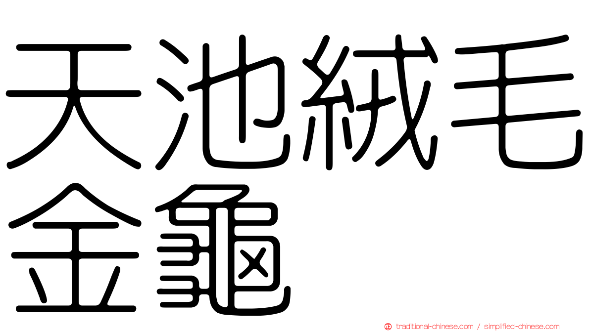 天池絨毛金龜