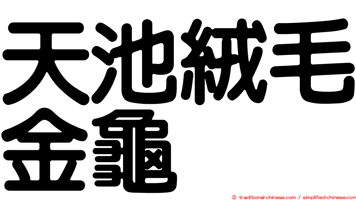 天池絨毛金龜