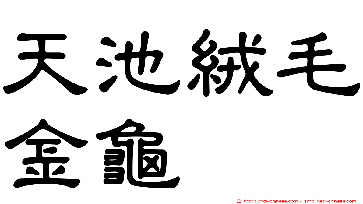 天池絨毛金龜