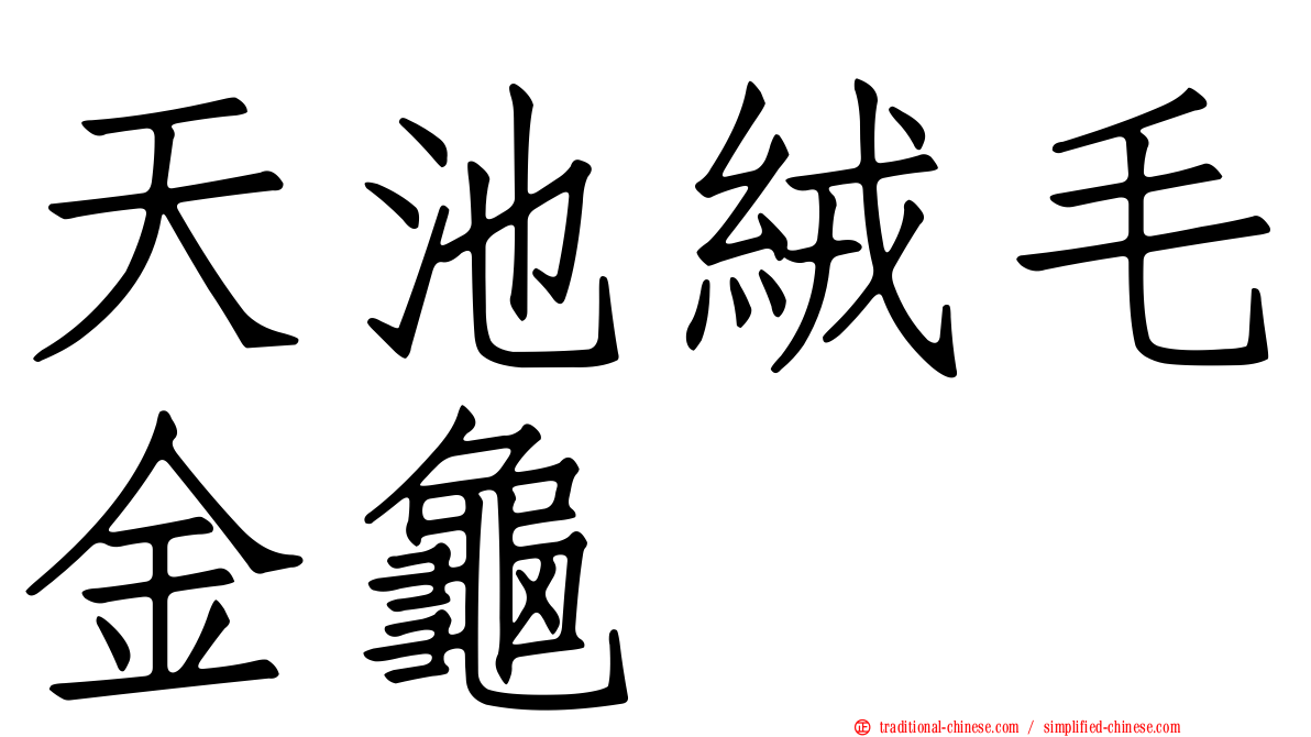 天池絨毛金龜