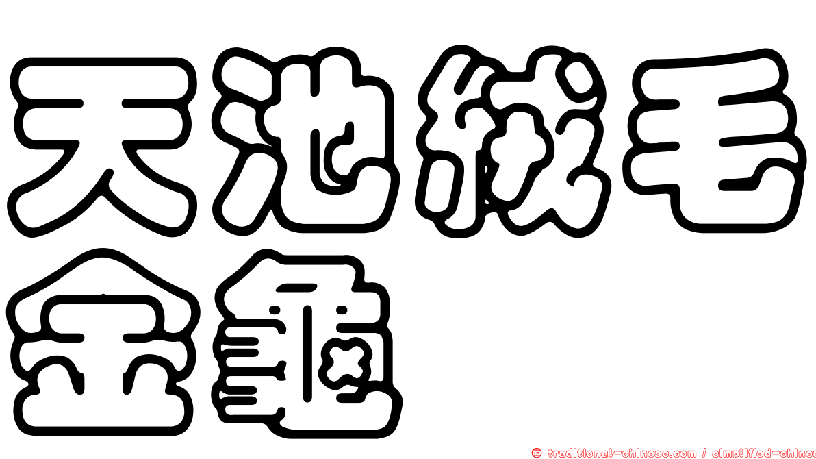 天池絨毛金龜