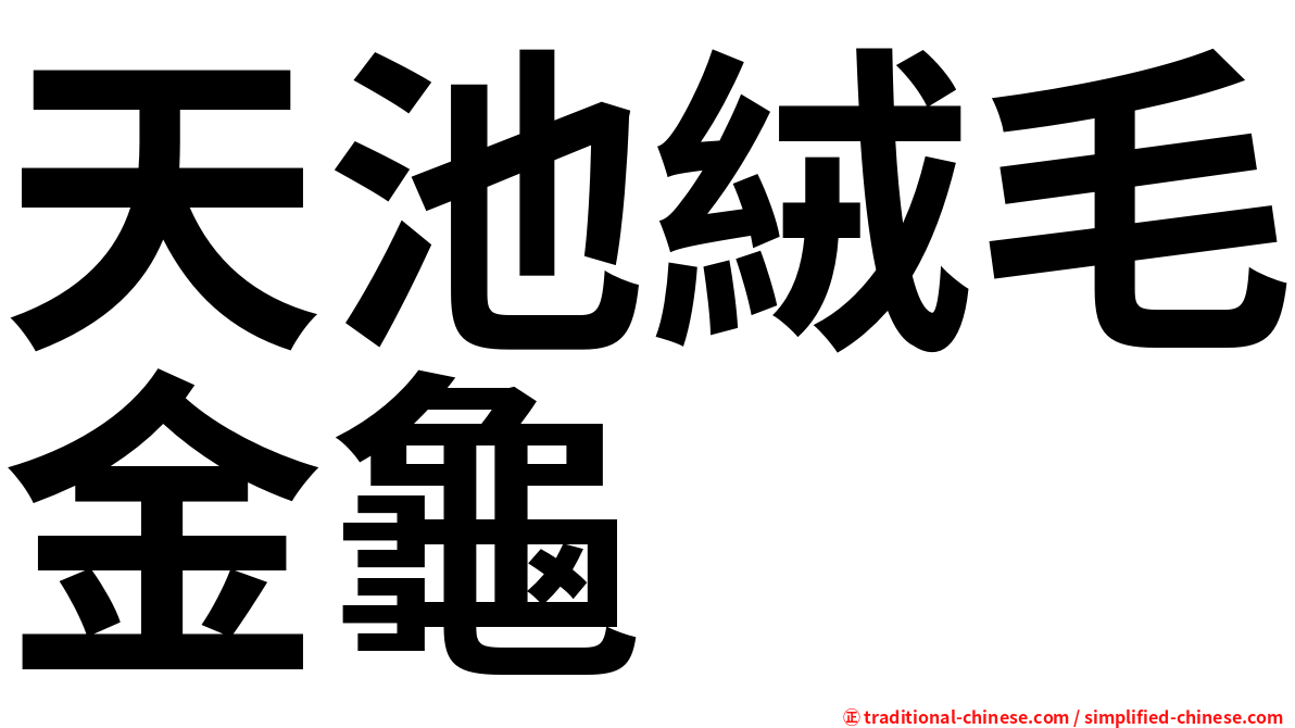 天池絨毛金龜
