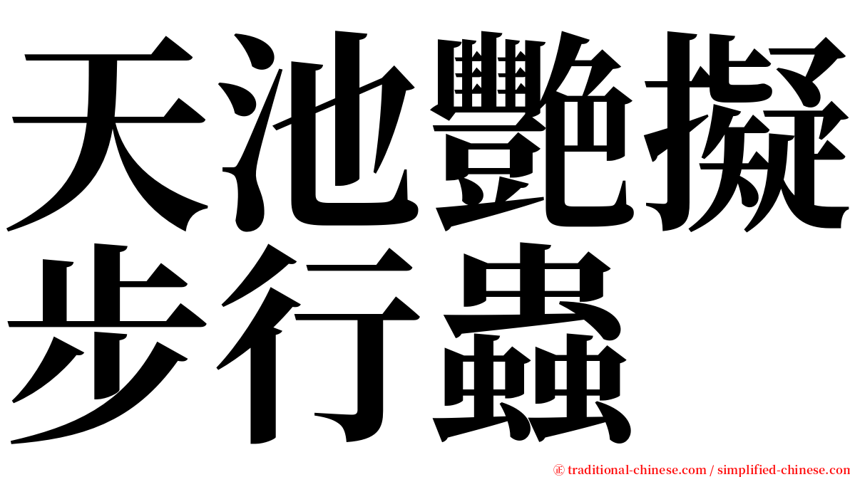 天池艷擬步行蟲 serif font