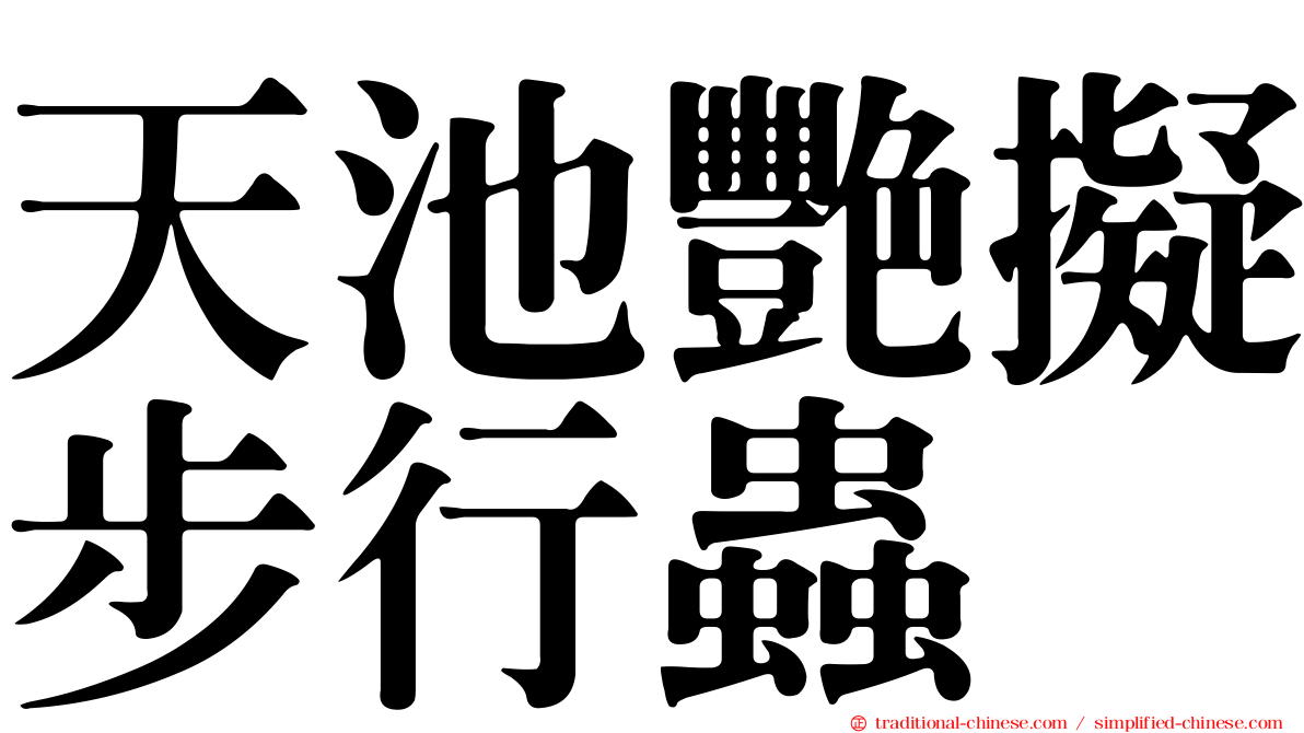 天池艷擬步行蟲