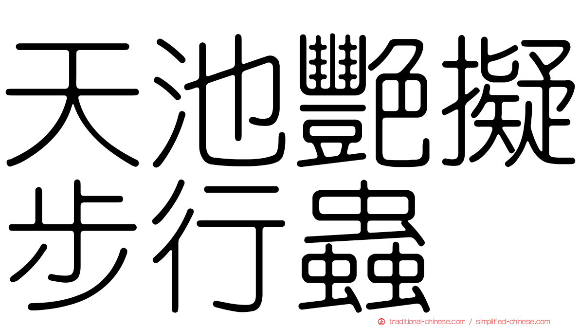 天池艷擬步行蟲