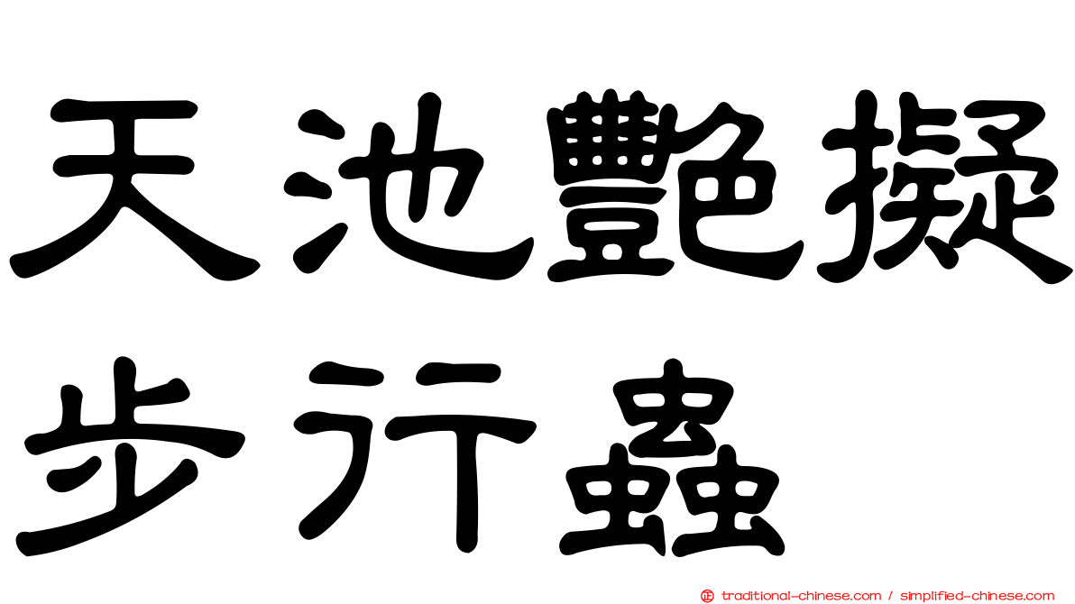 天池艷擬步行蟲