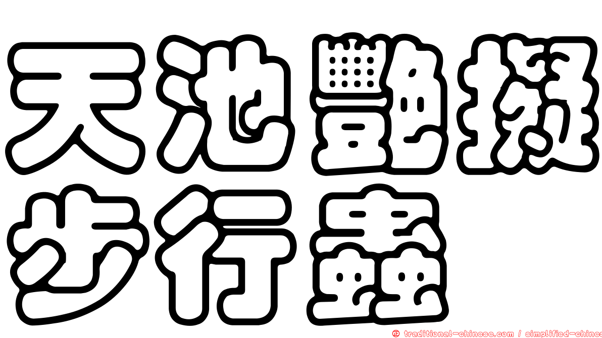 天池艷擬步行蟲