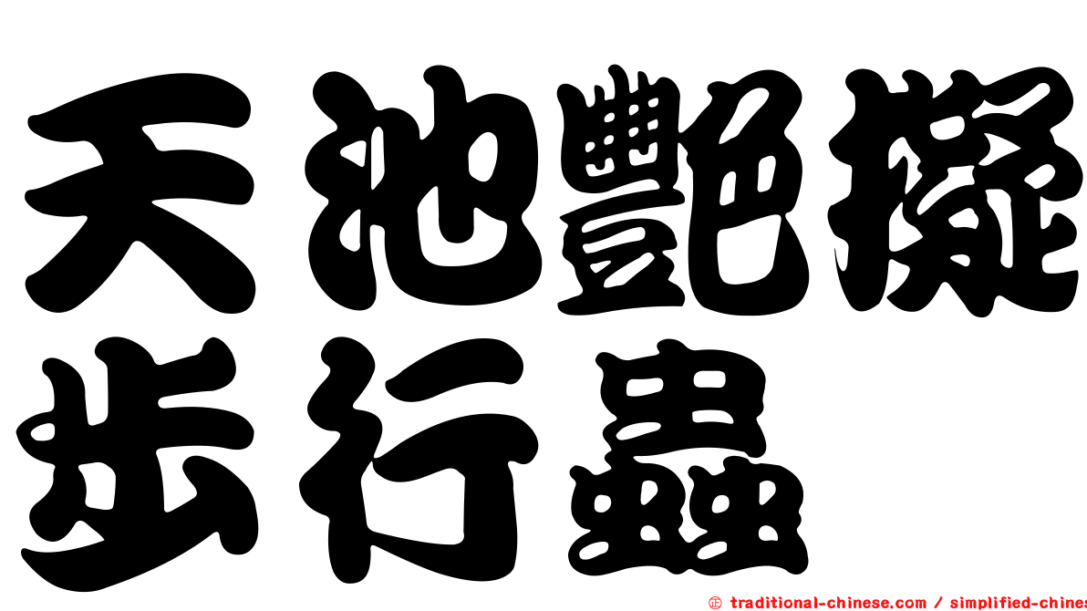 天池艷擬步行蟲