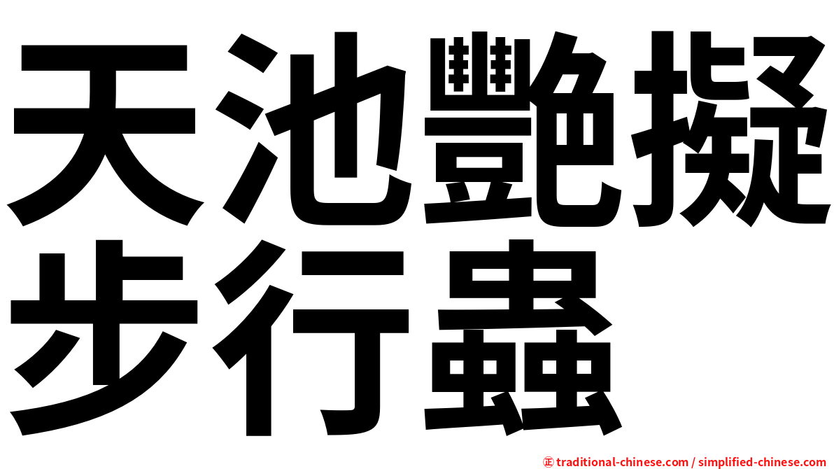 天池艷擬步行蟲
